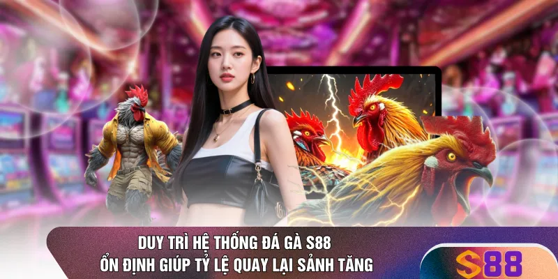 Duy trì hệ thống đá gà S88 ổn định giúp tỷ lệ quay lại sảnh tăng